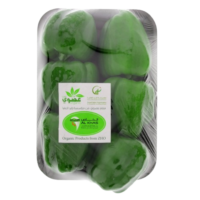 Organic Green Big Sweet Pepper Seeds - Capsicum